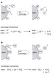 Fig. 4. Reactions of ion-exchangers with calcium sulphate:
                                    (a) cation exchangers equipped with (for example) H+ or Na+, exchangeable
                                    with Ca2+; (b) anion exchangers equipped
                                    with (for example) OH-, NO3- or CO32-, exchangeable with SO42-.