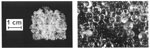 Fig. 9. Model glass equipped with ion-exchangers.