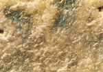 Fig. 13. Surface of a sample of glass from the Church of St
                                Catherine in Oppenheim after cleaning by method 1 (magnification
                                50x).