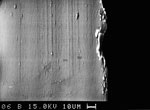 Fig. 22. Electron-ray micro-analysis image as fig. 21, but
                                after removal of the corrosion layer with a scalpel (magnification
                                500x).