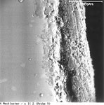 Fig. 24. Transitional area of a sample of glass, showing
                                corrosion products between layers.