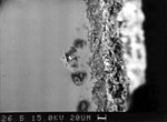 Fig. 29. Electron-ray micro-analysis image of a marked cross
                                section of a sample (sample P5, table 4) before cleaning with
                                ion-exchanger compresses.