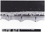 Fig. 21. Scanning electron microscope image of the corrosion layer
                            produced by 0.1mol oxalic acid.